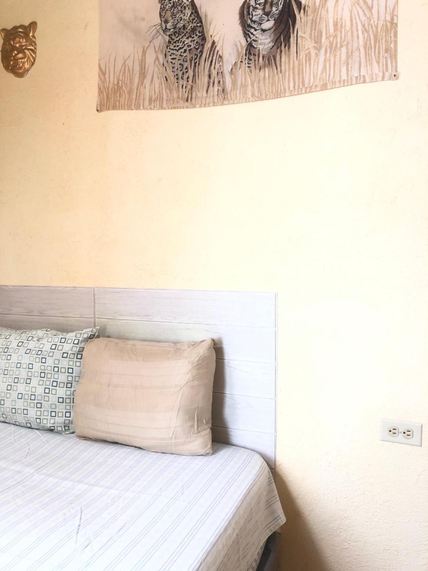 Hospedaje Basico El Jaguar Hotel Antigua Eksteriør billede